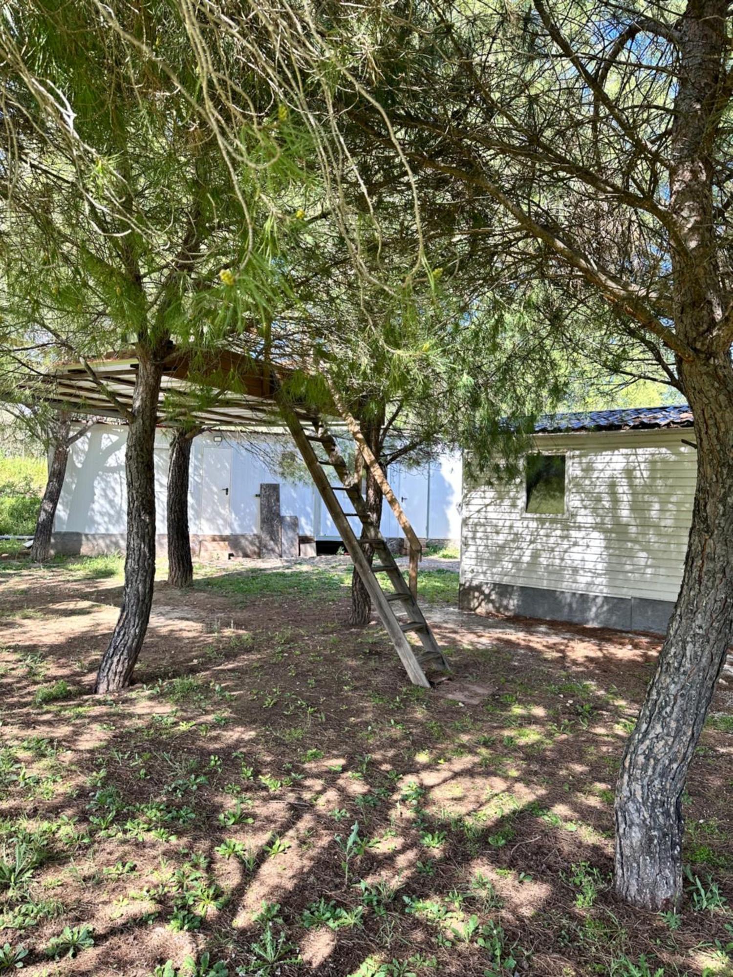 Bungalow Infanta Torrelaguna Exterior photo